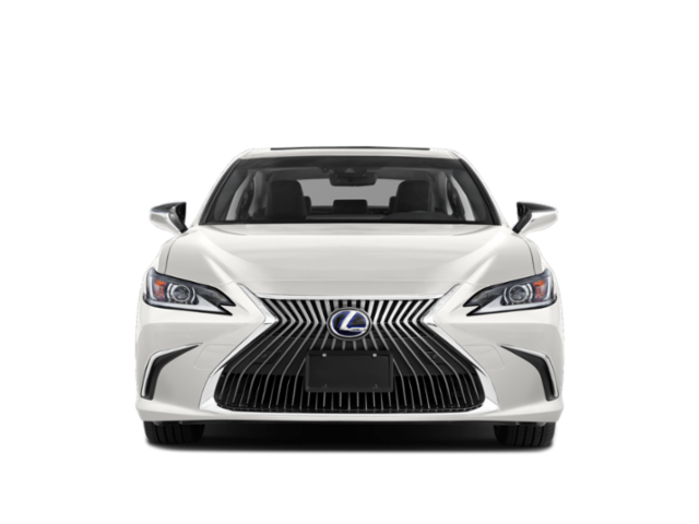 2020 Lexus ES 300h Luxury photo 4