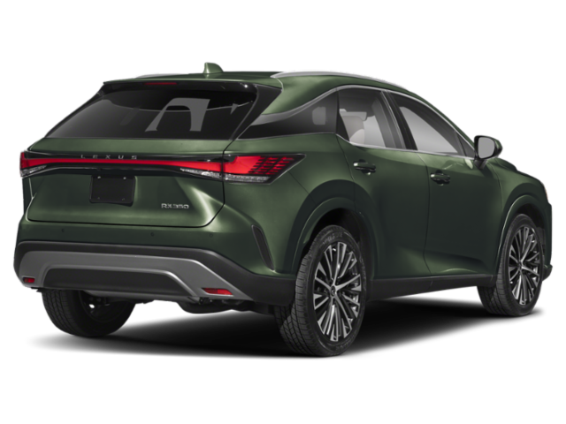 2025 Lexus RX Premium AWD photo 2