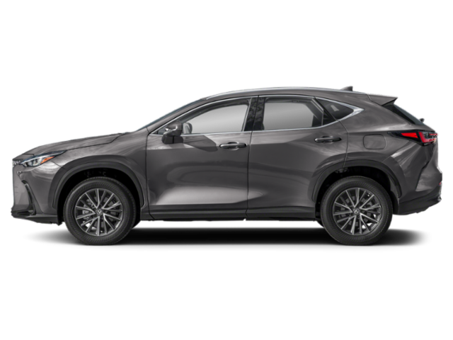 2024 Lexus NX 250 photo 2