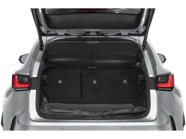 2024 Lexus NX 350 Luxury photo 4