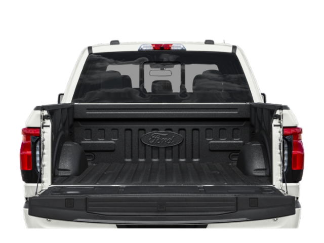 2025 Ford F-150 Lightning Platinum photo 8