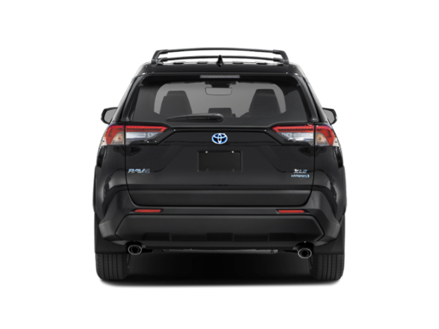 2025 Toyota RAV4 Hybrid XLE photo 4