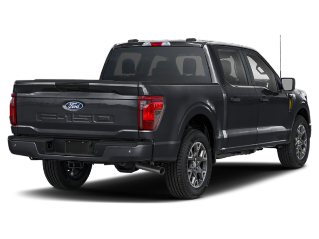 2025 FORD F-150 - Image 10