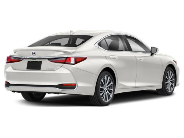 2020 Lexus ES 300h Luxury photo 2