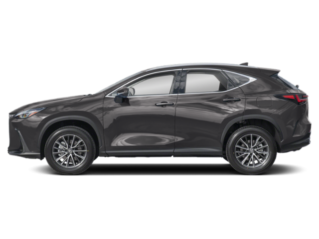 2025 Lexus NX 250 Premium photo 3