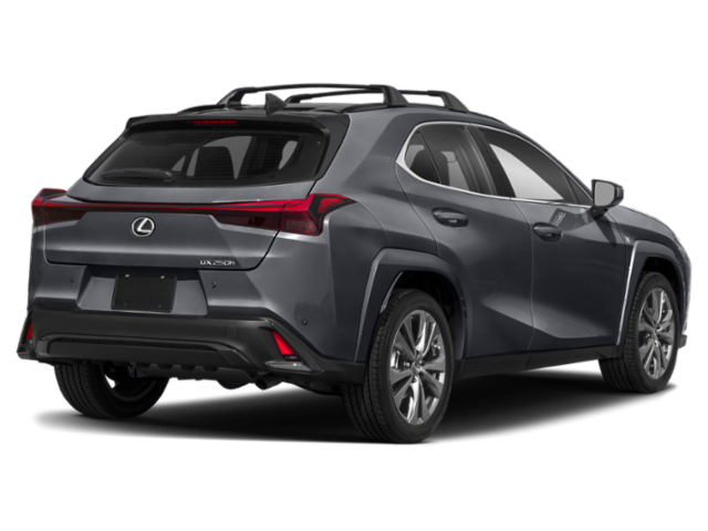 2023 Lexus UX 250h F SPORT Handling photo 2