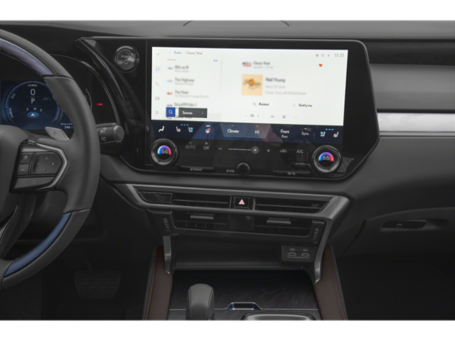 2025 Lexus RX Luxury photo 5