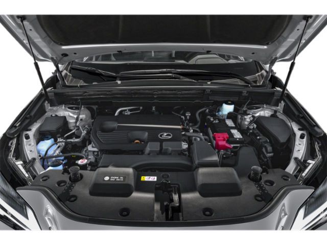 2025 Lexus NX 250 photo 4