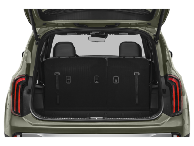2023 Kia Telluride X-Line photo 3