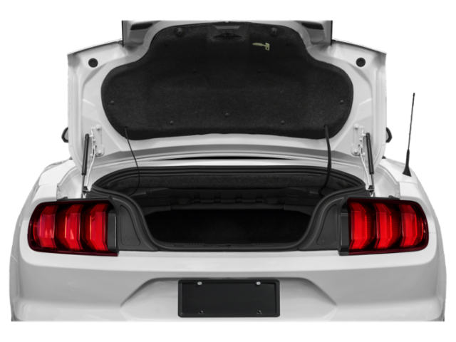 2022 Ford Mustang EcoBoost Premium photo 15