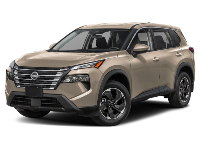 New 2025 BAJA STORM Nissan SV image 1