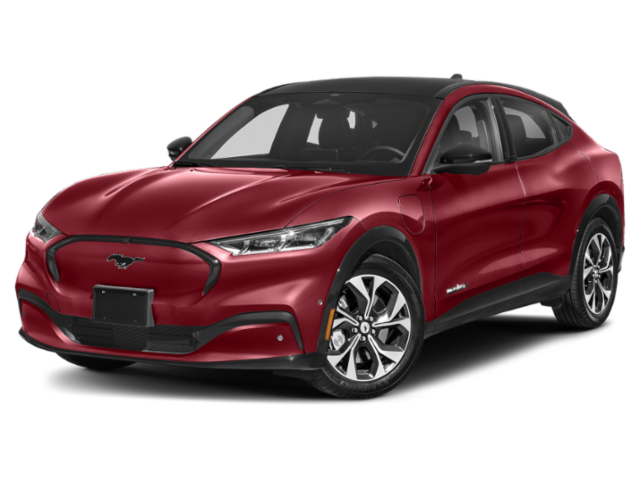 Used 2021 Ford Mustang Mach-E Premium AWD with VIN 3FMTK3SUXMMA55997 for sale in Lakewood, NJ