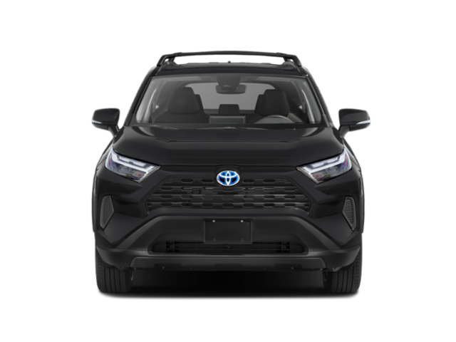 2025 Toyota RAV4 Hybrid XLE photo 3