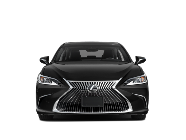 2019 Lexus ES 350 F SPORT photo 3