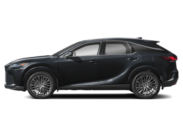 2025 Lexus RX 350 Luxury photo 3