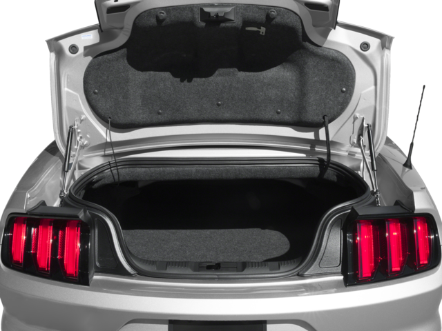 2016 Ford Mustang EcoBoost Premium photo 13