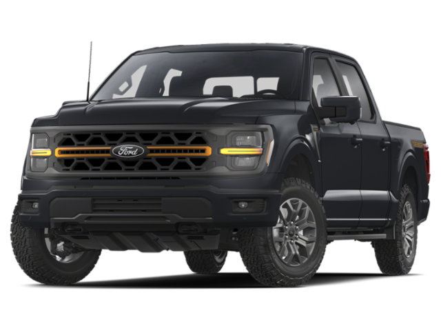 2024 FORD F-150 - Image 1