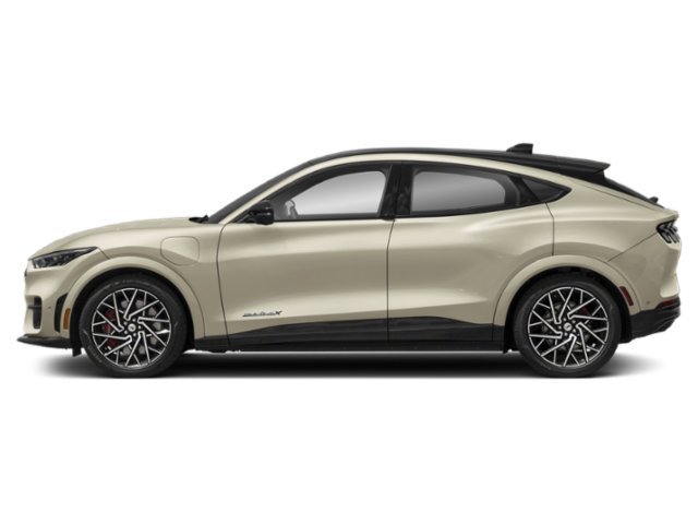 2025 Ford Mustang Mach-E GT photo 3