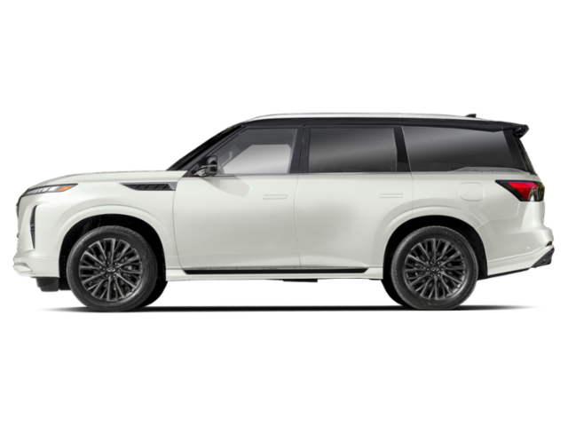 2026 Infiniti QX80 photo 2