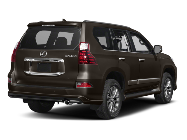 2017 Lexus GX 460 photo 2