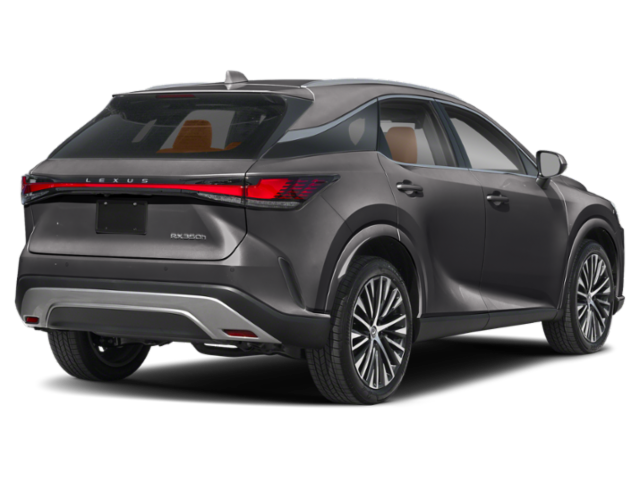 2025 Lexus RX Premium AWD photo 2