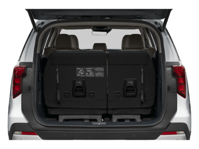 2026 Kia Carnival EX photo 8