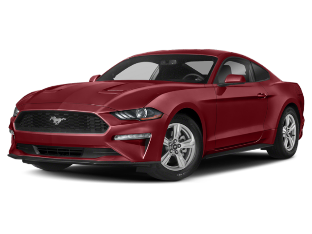 2019 Ford Mustang EcoBoost's photo