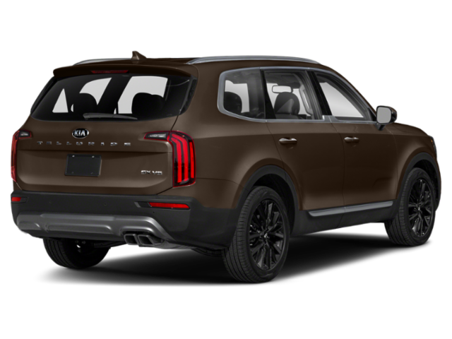 Used 2020 Kia Telluride SX with VIN 5XYP5DHC1LG028054 for sale in Elk River, Minnesota