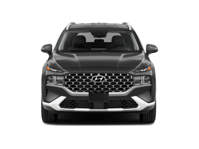 2021 Hyundai Santa Fe SEL Premium photo 3