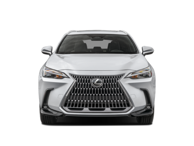 2025 Lexus NX 350h Premium photo 3