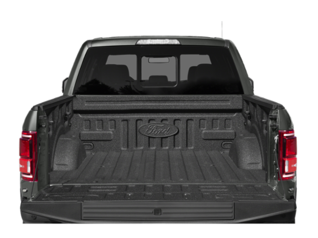 2020 Ford F-150 Raptor photo 9