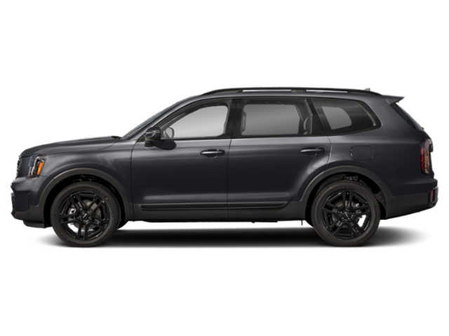 2025 Kia Telluride EX X-Line photo 3