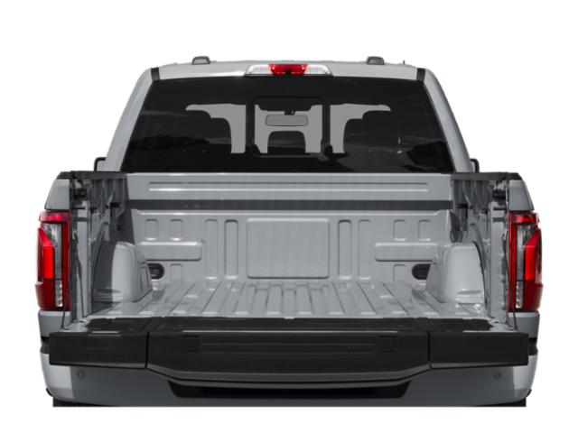 2025 Ford F-150 Platinum photo 3