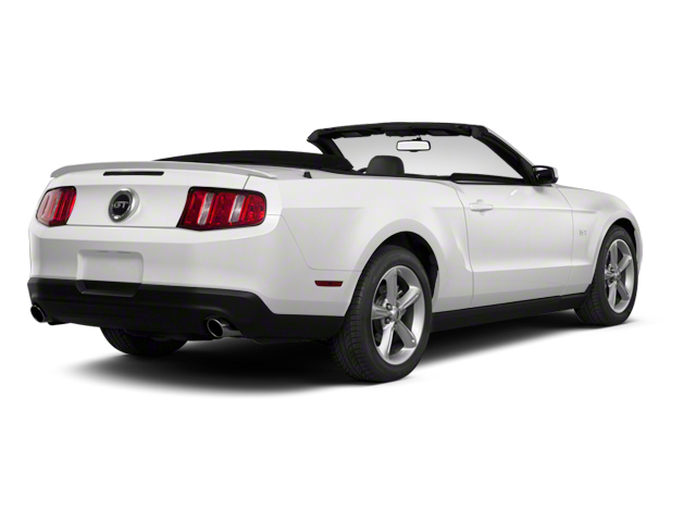 Used 2010 Ford Mustang V6 Premium with VIN 1ZVBP8ENXA5155003 for sale in Lexington, SC
