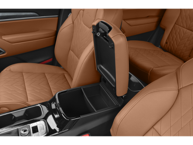 2025 Kia Telluride SX X-Line photo 10