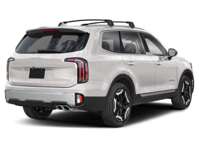 2025 Kia Telluride EX photo 2