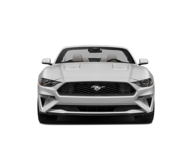 2022 Ford Mustang EcoBoost Premium photo 8