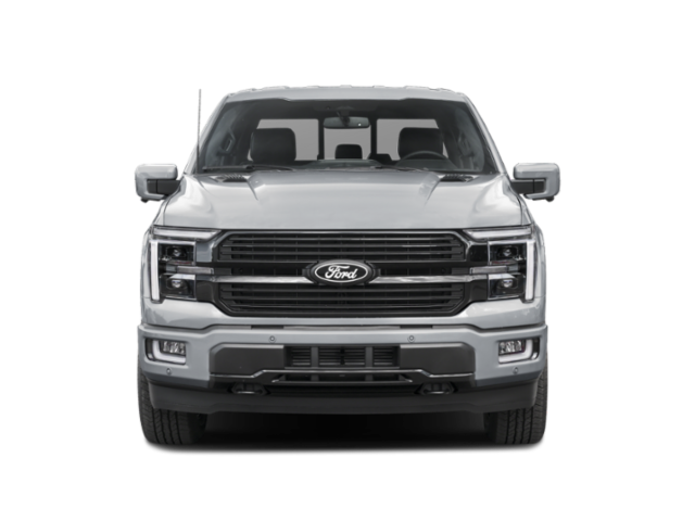 2025 Ford F-150 Platinum photo 3