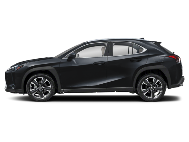 2025 Lexus UX photo 3