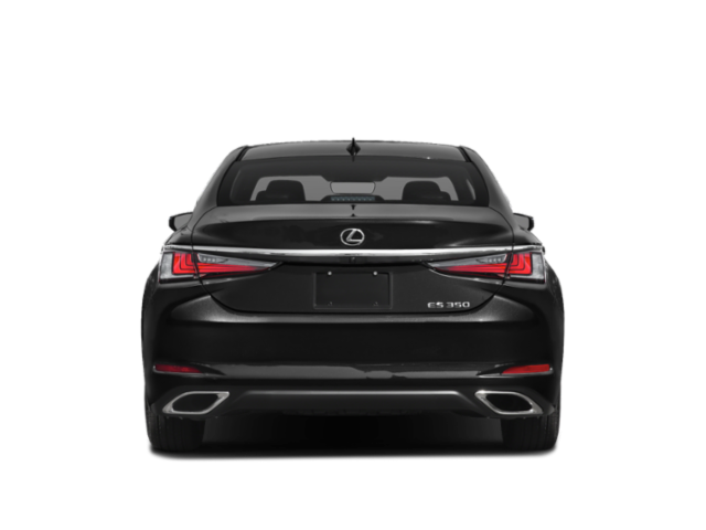 2019 Lexus ES 350 F SPORT photo 4