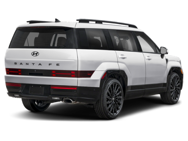 New 2025 White Hyundai Calligraphy image 25