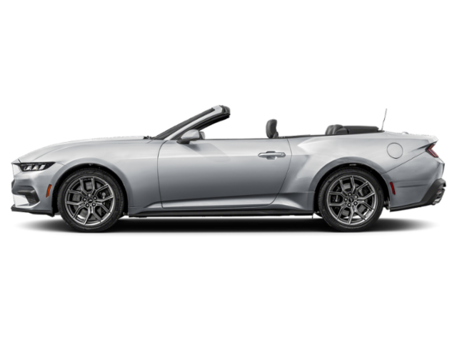 2025 Ford Mustang EcoBoost photo 3