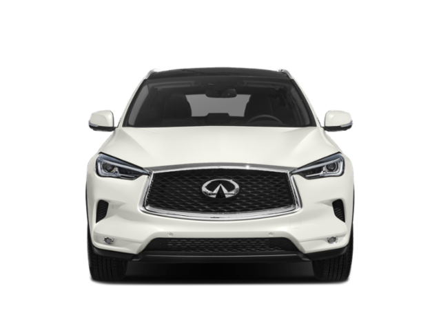 2019 Infiniti QX50 Luxe photo 3