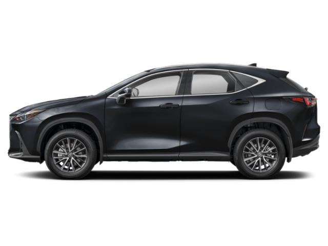 2024 Lexus NX 350h AWD photo 3