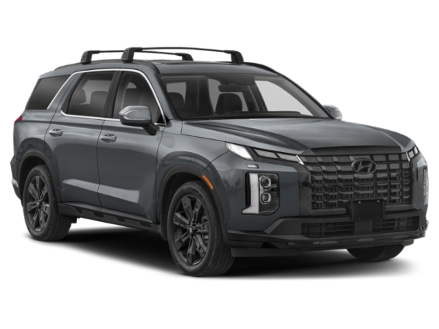 2025 Hyundai Palisade XRT photo 3