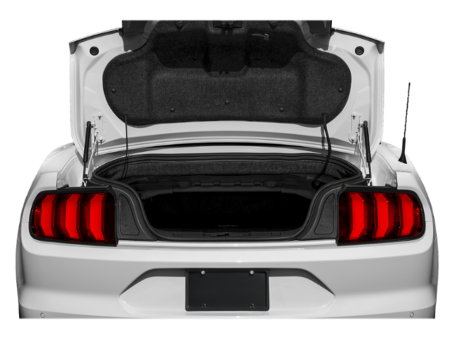 2020 Ford Mustang GT Premium California Special photo 7