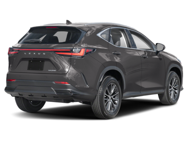 2025 Lexus NX 250 Premium photo 2