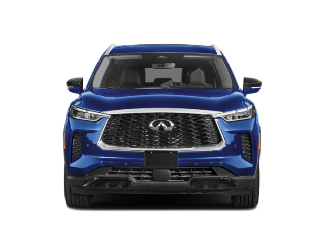 2025 Infiniti QX60 Luxe photo 2