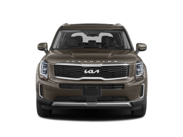 2022 Kia Telluride EX photo 2