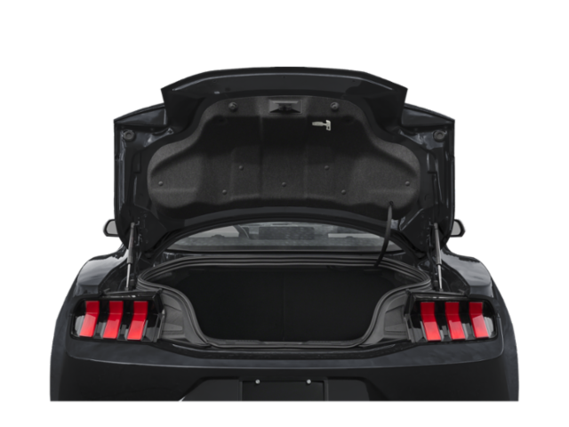 2025 Ford Mustang EcoBoost photo 29
